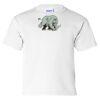 Ultra Cotton Youth T-Shirt Thumbnail
