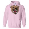 Heavy Blend Hooded Sweatshirt Thumbnail